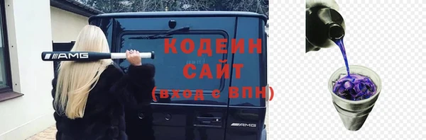 индика Баксан