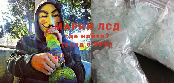 индика Баксан