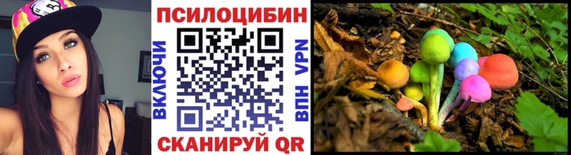 Псилоцибиновые грибы прущие грибы  Печора 